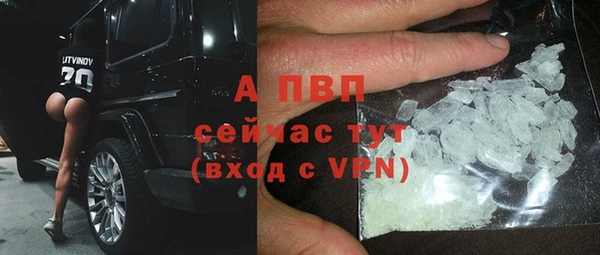 гидропоника Белокуриха
