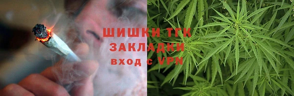 крисы Богданович