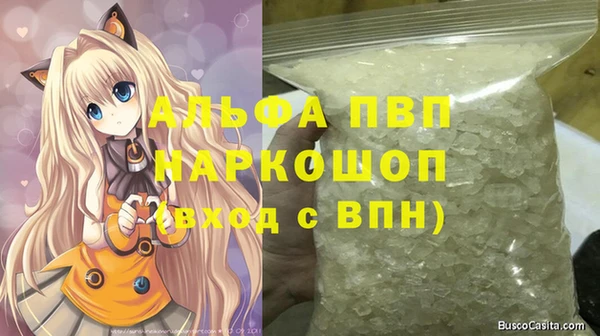 индика Беломорск